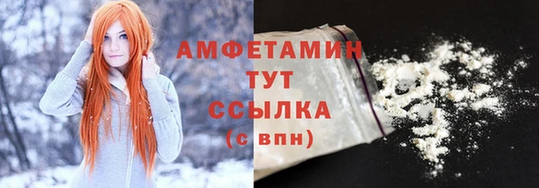 шишки Дмитровск