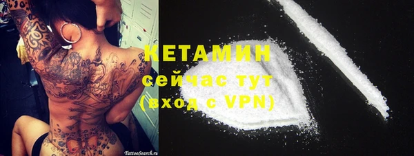 шишки Дмитровск