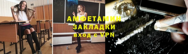 шишки Дмитровск