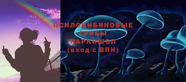 шишки Дмитровск