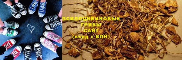 шишки Дмитровск