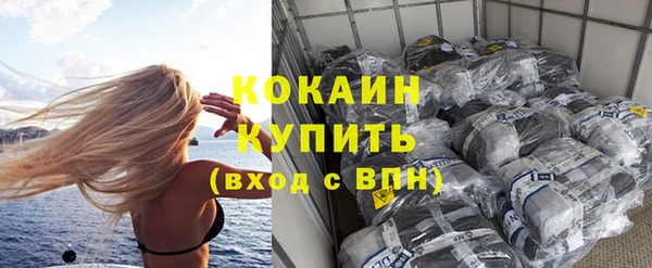 шишки Дмитровск
