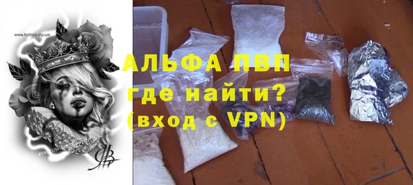 шишки Дмитровск